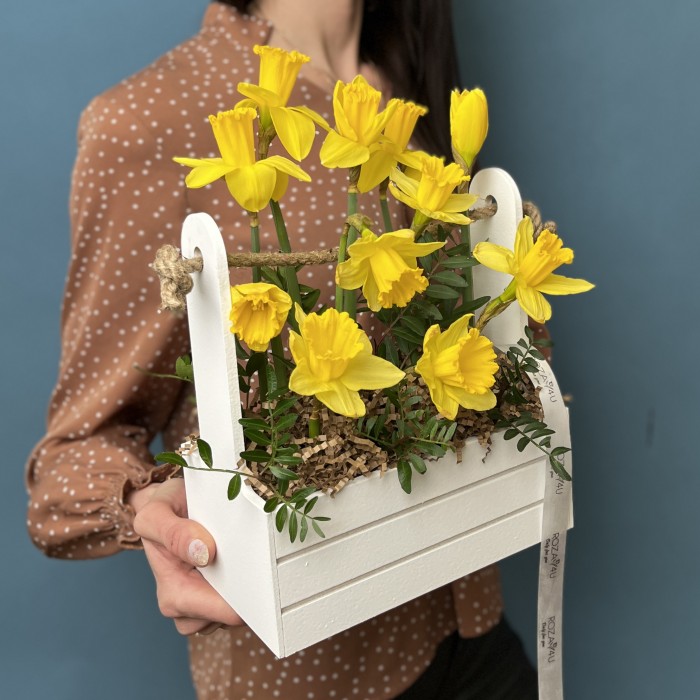 11 нарциссов в деревянном кашпо