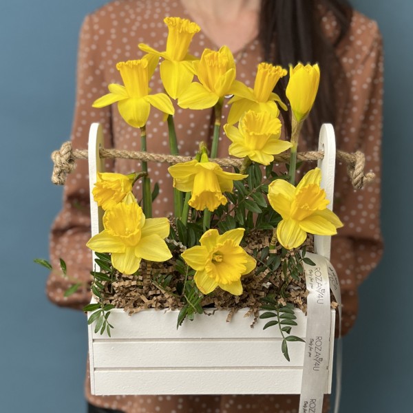 11 нарциссов в деревянном кашпо