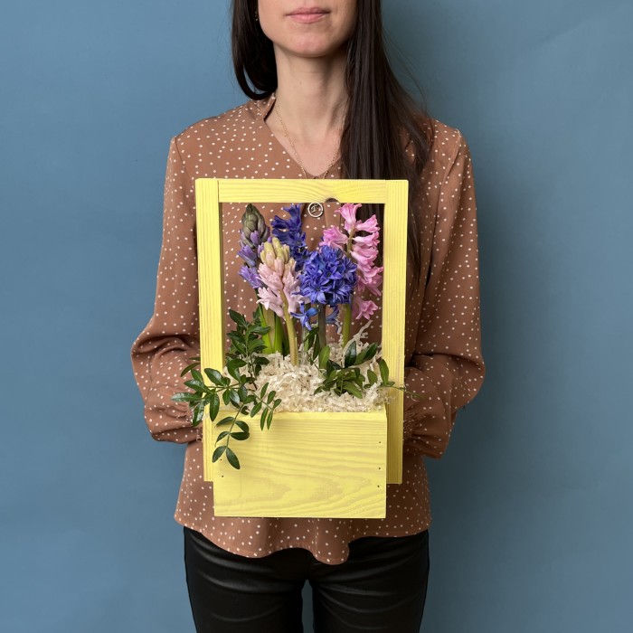 5 ароматных гиацинтов в кашпо