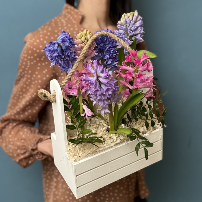 7 гиацинтов в деревянном кашпо