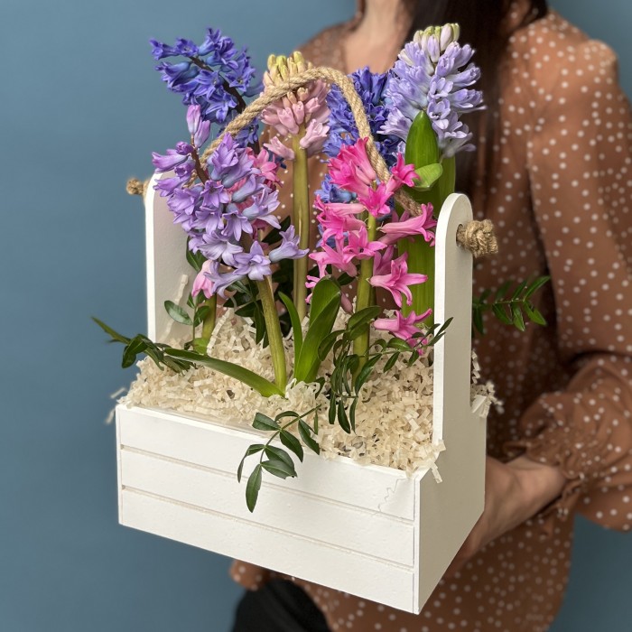 7 гиацинтов в деревянном кашпо