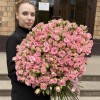 101 розовая кустовая роза Одилия 60 см