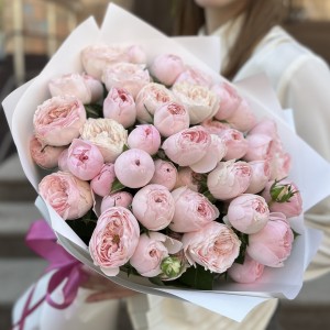 15 кустовых пионовидных роз Мансфилд Пинк Парк 50 см