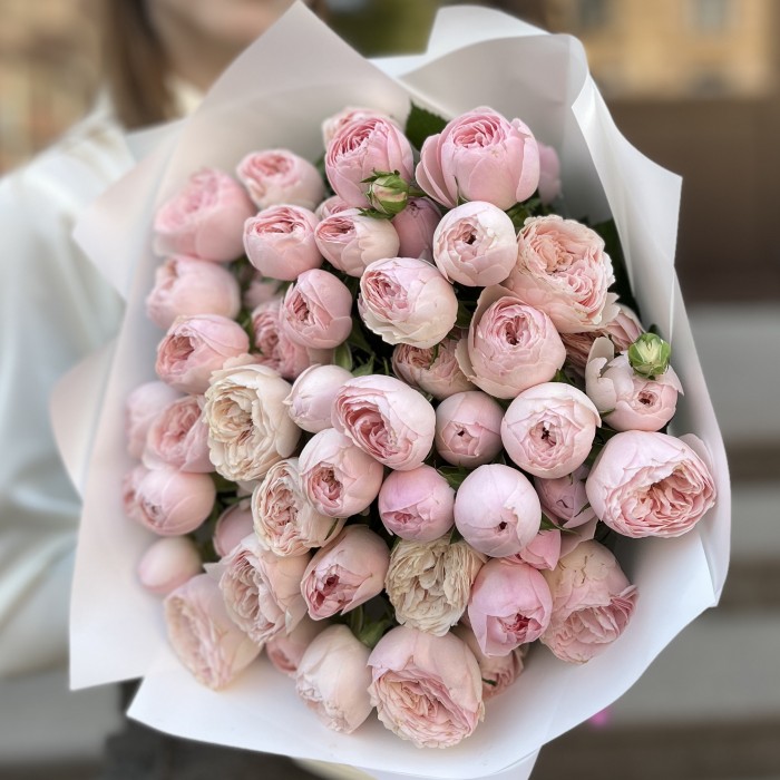 15 кустовых пионовидных роз Мансфилд Пинк Парк 50 см