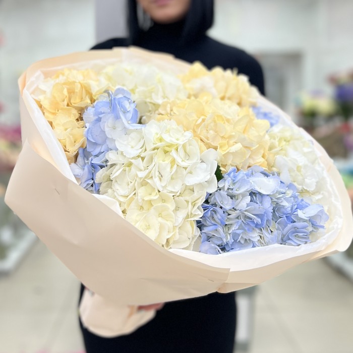 9 нежных гортензий