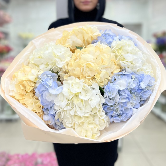 9 нежных гортензий