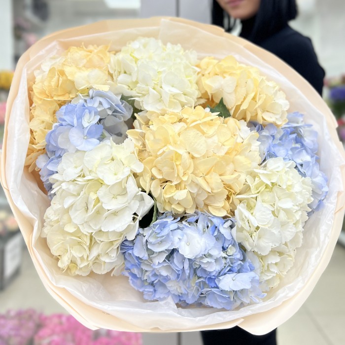 9 нежных гортензий