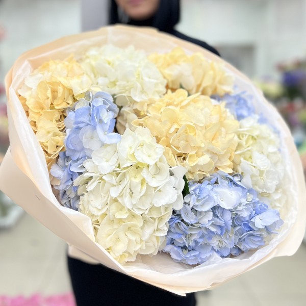 9 нежных гортензий