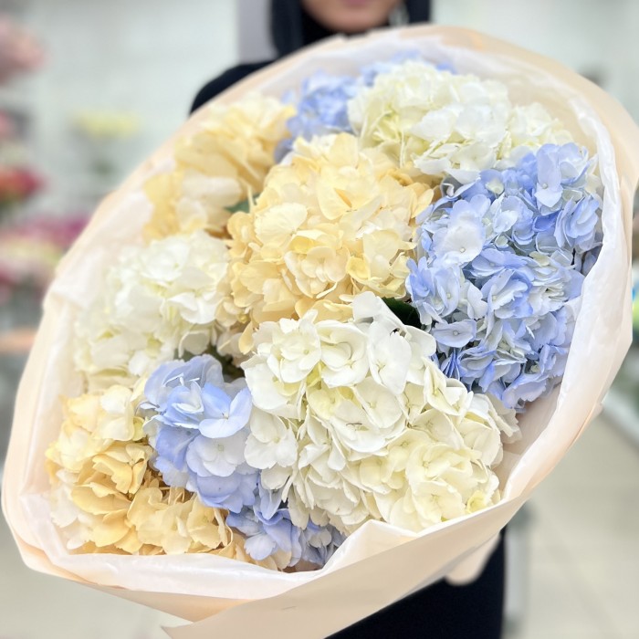 9 нежных гортензий