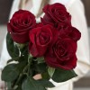 5 красных роз Эвер Ред 70 см