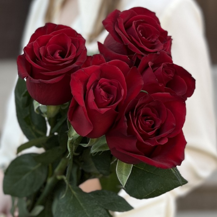 5 красных роз Эвер Ред 70 см