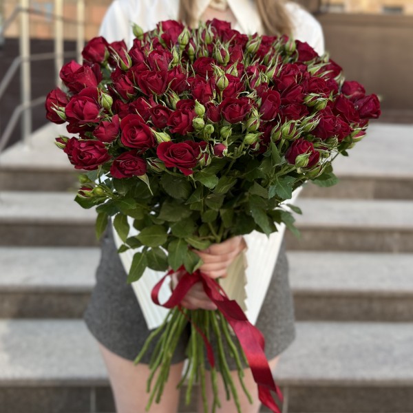 Кустовая красная роза Рубикон 60 см