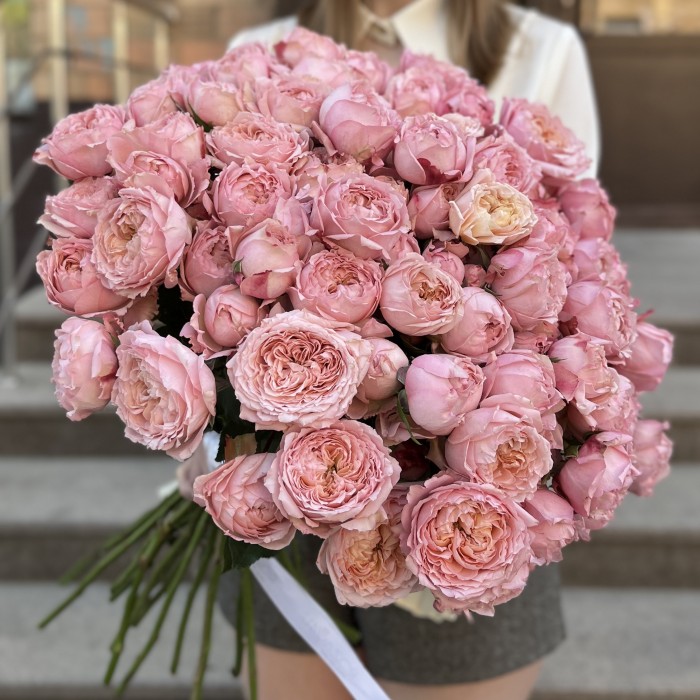 Кустовая роза Джульетта 50 см