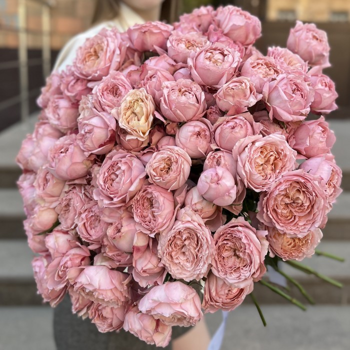 Кустовая роза Джульетта 50 см