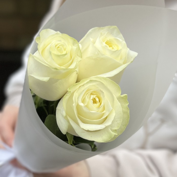 3 белые розы Махе 50 см