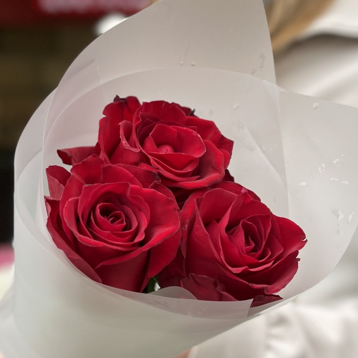 3 красные розы Мадам ред 50 см