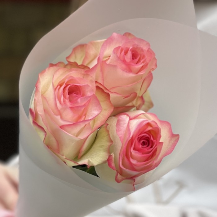 3 нежные розы Джумилия 50 см