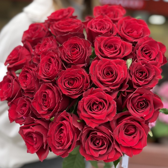 Красная Роза Мадам Ред 50 см