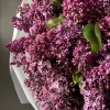 Ароматный букет сирени