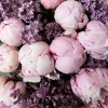 Букет из розовых пионов с сиренью