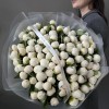 Премиум букет из 101 белого пиона