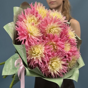 11 розово-желтых игольчатых георгин Джаст Меррид