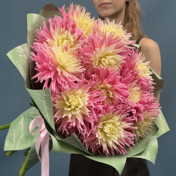 11 розово-желтых игольчатых георгин Джаст Меррид