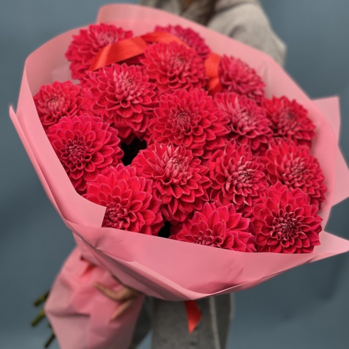 15 пышных красных георгин