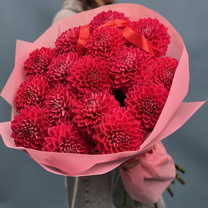 15 пышных красных георгин