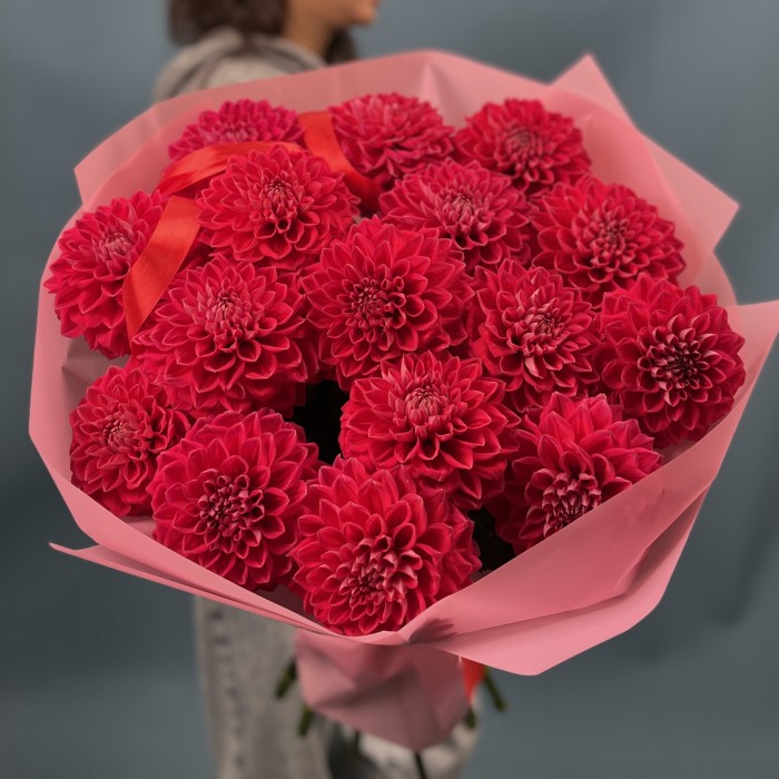 15 пышных красных георгин