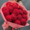 15 пышных красных георгин