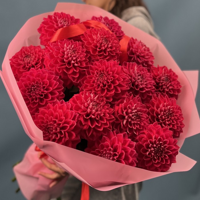 15 пышных красных георгин