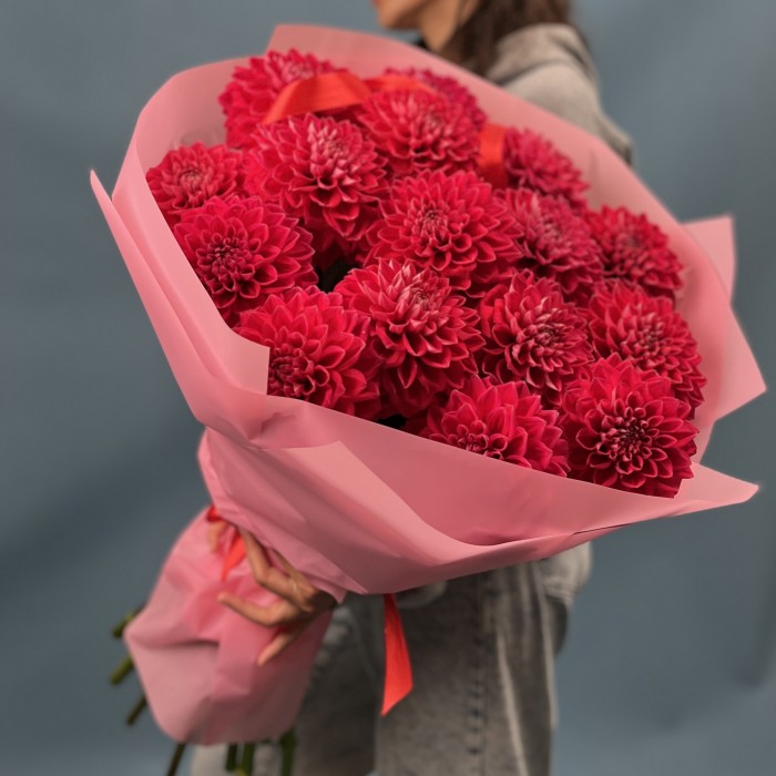 15 пышных красных георгин