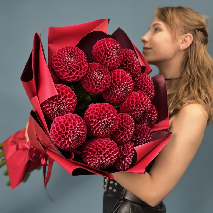 15 темно-красных Георгин помпон