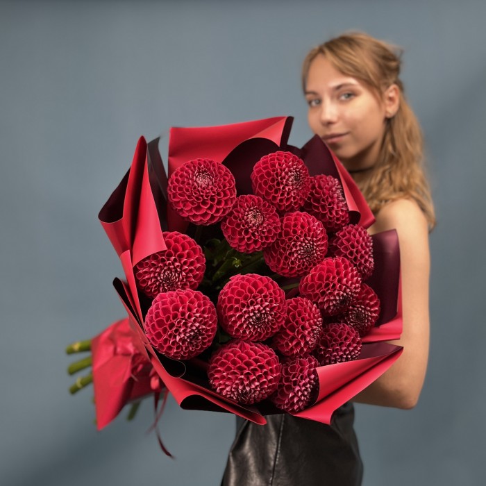 15 темно-красных Георгин помпон