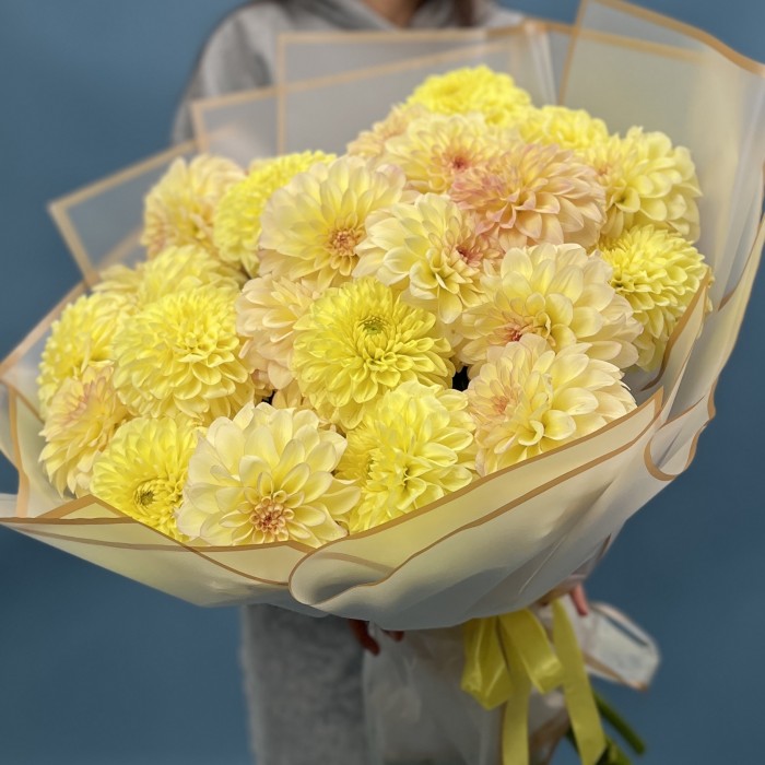 25 желтых георгин микс