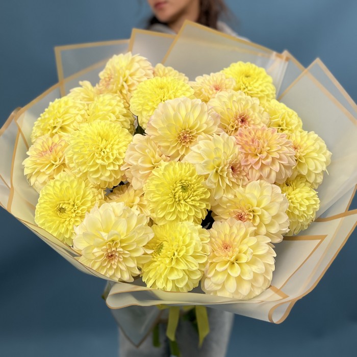 25 желтых георгин микс