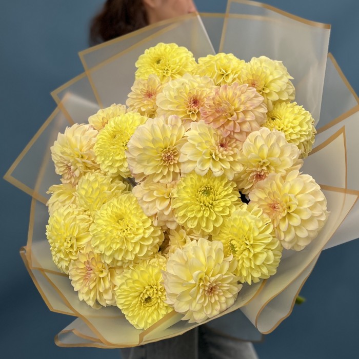 25 желтых георгин микс