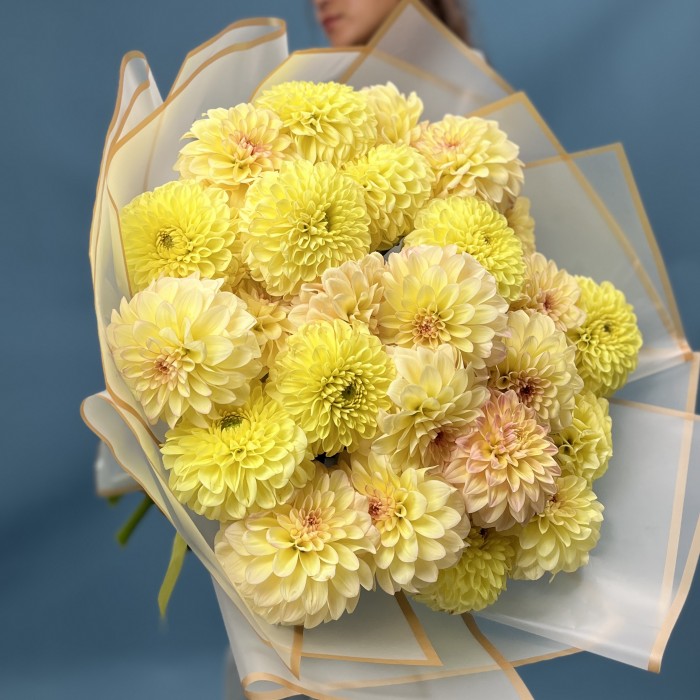 25 желтых георгин микс