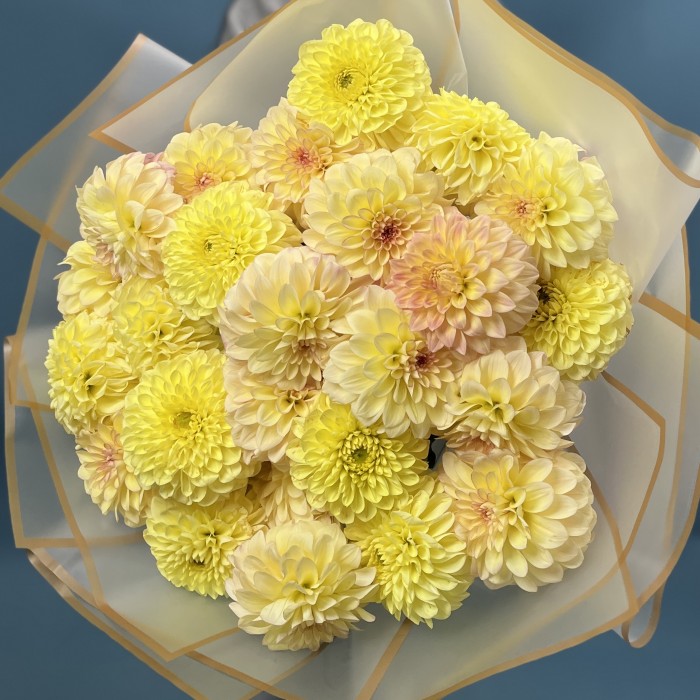 25 желтых георгин микс