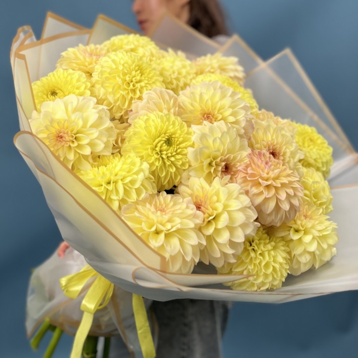 25 желтых георгин микс