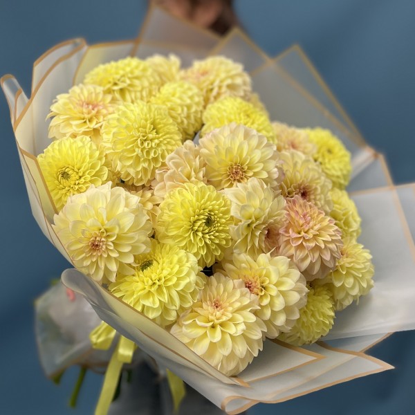 25 желтых георгин микс