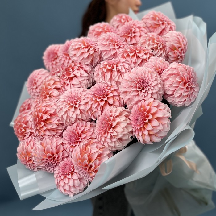 35 лососевых Георгин