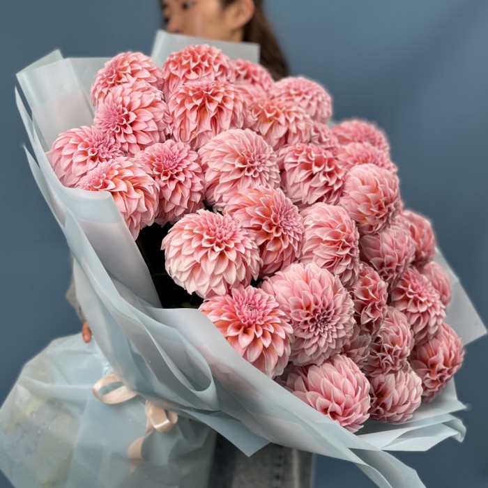 35 лососевых Георгин