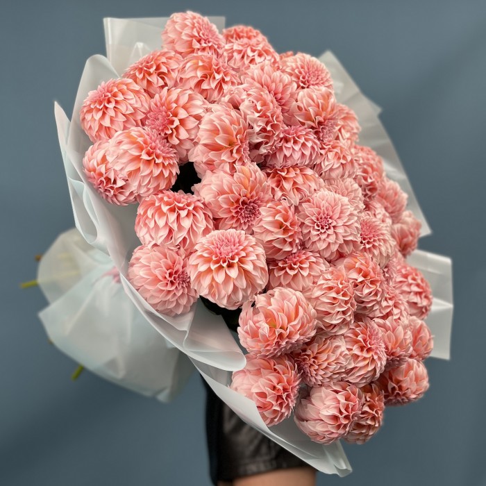 51 лососевый Георгин