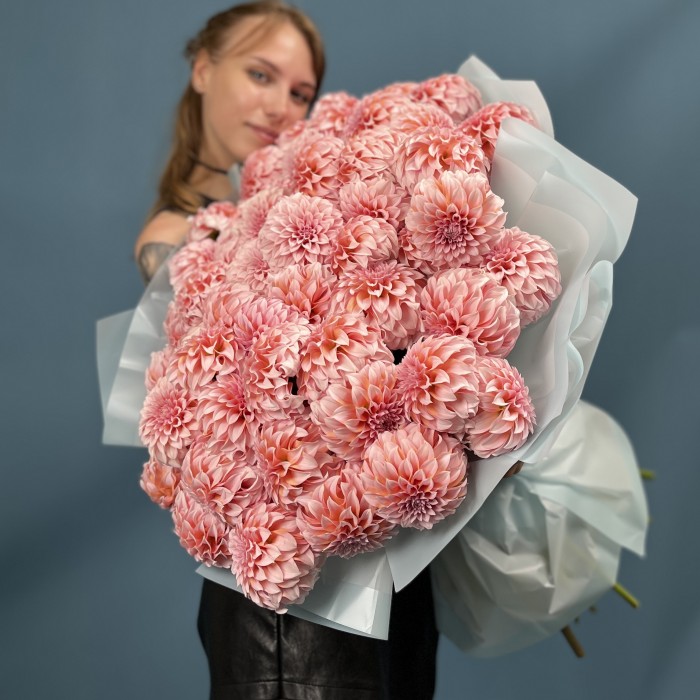 51 лососевый Георгин