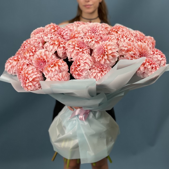 51 лососевый Георгин