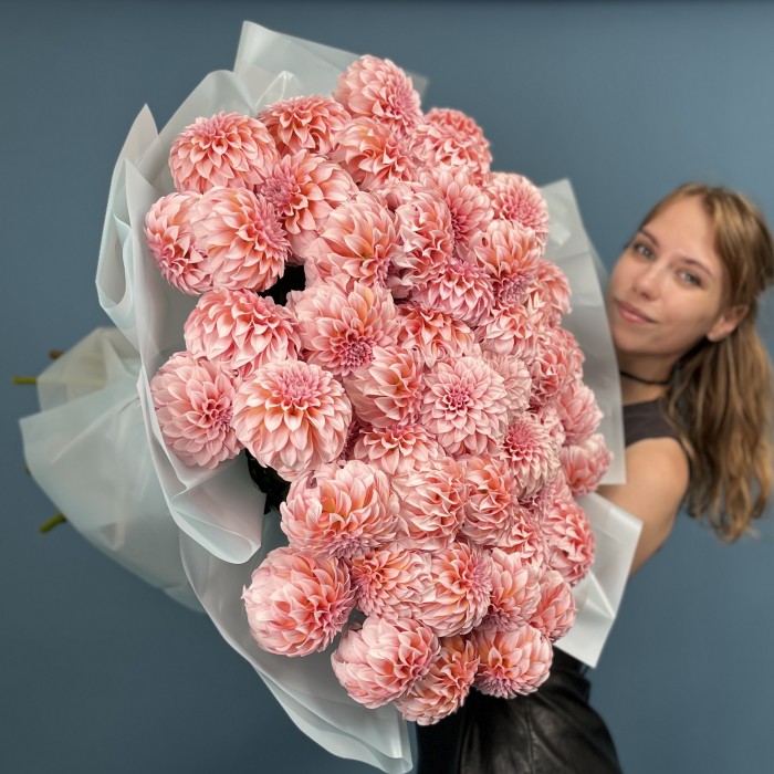 51 лососевый Георгин