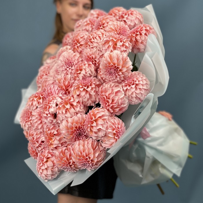 51 лососевый Георгин