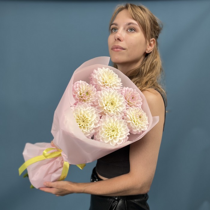 7 бело-розовых георгин помпон